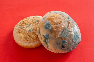 Küflü ekmek. Kırmızı arkaplanda çürük ekmek manzarası. Uzun zamandır bekliyorum. Yemek israfı kavramı. Küf kaplı yiyecek..