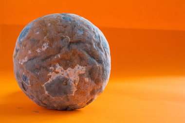 Küflü ekmek. Çürük ekmeğin turuncu arka planda yakın plan fotoğrafı ve metin için yeri var. Uzun zamandır bekliyorum. Yemek israfı kavramı. Küf kaplı yiyecek..