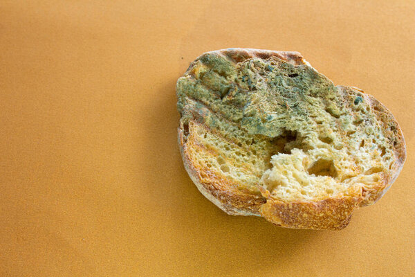 Moldy bread. Closeup photo of rotten bread on color background. Waiting for a long time. Concept of wasting food. Mildew covered food.