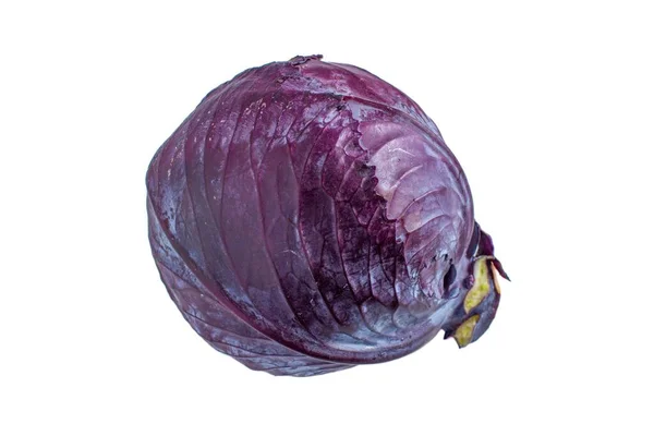 Purple Red Cabbage Isolated White Background Top View Whole Cabbage — ストック写真