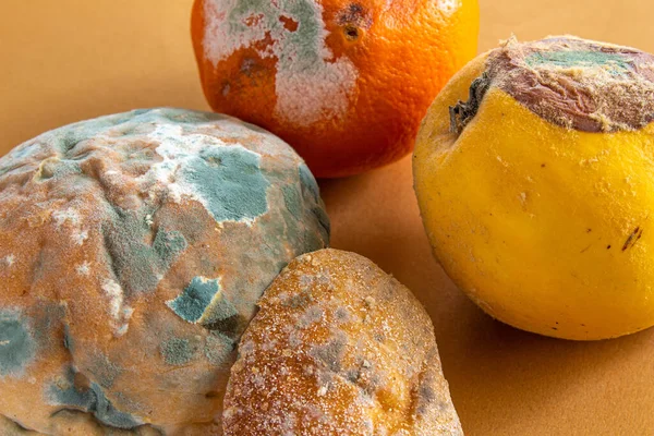 Moldy foods. Top view of rotten bread, orange and quince on color background. Mildew covered bread and fruits. Concept of wasting food.
