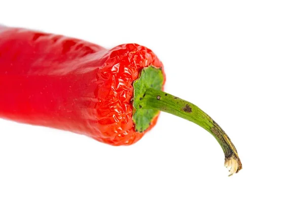 Pimiento Rojo Aislado Sobre Fondo Blanco — Foto de Stock