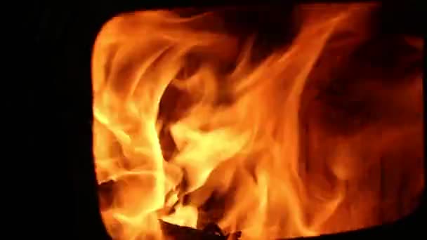 Wälder Brennen Ofen Nahaufnahme Von Flammen Dunkeln — Stockvideo
