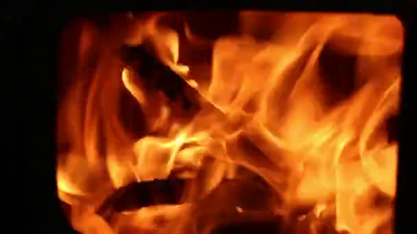 Woods Burning Stove Closeup Flames Dark — Stock video