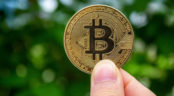 Hand Holding Bitcoin Cryptocurrency Investment Concept Buy Sell Bitcoin Green — Stock fotografie