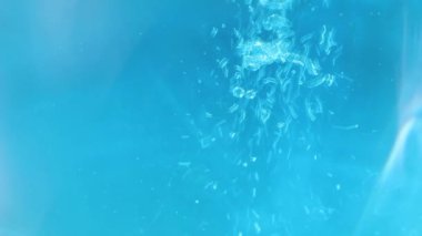 Mavi arkaplanda suda kabarcıklar.