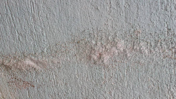 Moldy wall, close up. Mold or fungus growing on blue concrete wall.