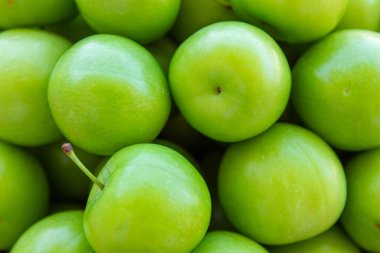 Yeşil erikler. Yeşil erik meyvelerinin en üst görüntüsü. Tam kare meyve arkaplan fotoğrafı. Sağlıklı yeme kavramı.
