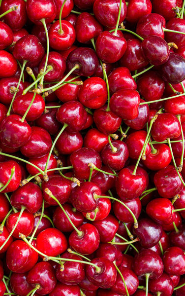 Cherry background. Top view of ripe cherries. Full frame fruit background photo.