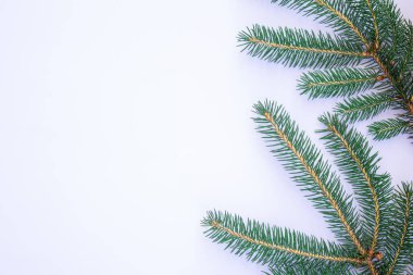 Christmas background with space for text. Spruce twigs on white background. Top view.