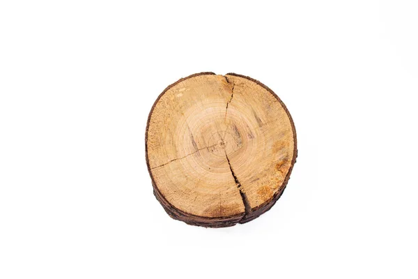 Top View Tree Stump Isolated White Background — Stock fotografie