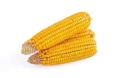 Beyaz arka planda izole edilmiş bir mısır grubu. Kabuğu soyulmuş mısırların yakın plan fotoğrafı..