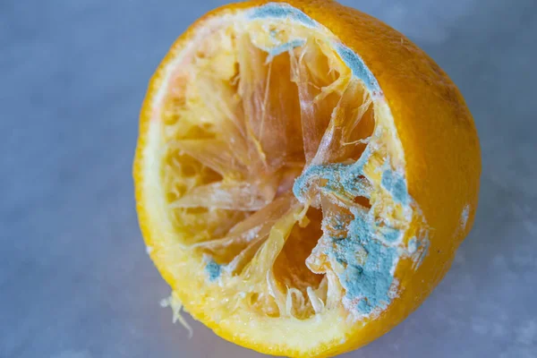 Moldy lemon. Rotten fruit. Wasting food.