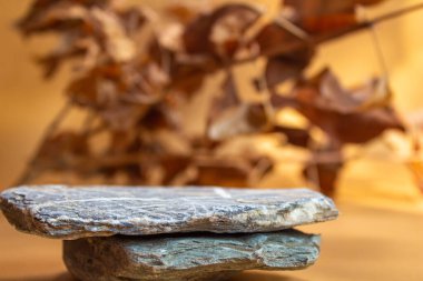 Kozmetik sunum arka planı. Parfüm veya kozmetik ürünler için taş podyum. Gösterge.