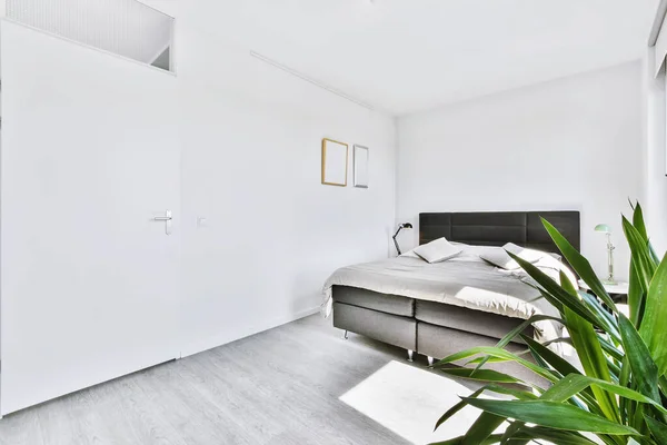 Diseño elegante dormitorio — Foto de Stock