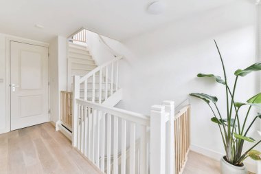 Lüks merdiven salonu.