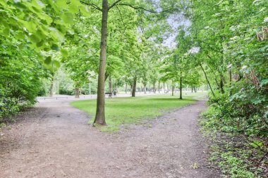 Şehir parkı görünümü