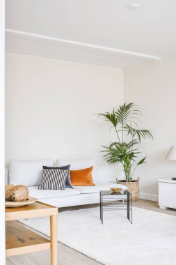 Şık bir oturma odası.