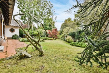 Bahçeli güzel bir avlu