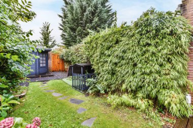 Taze çimenli akıl almaz bir avlu.