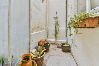 Güzel bir evin avlusu.