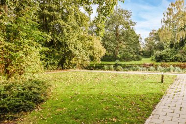 Çimenli keyifli manzara