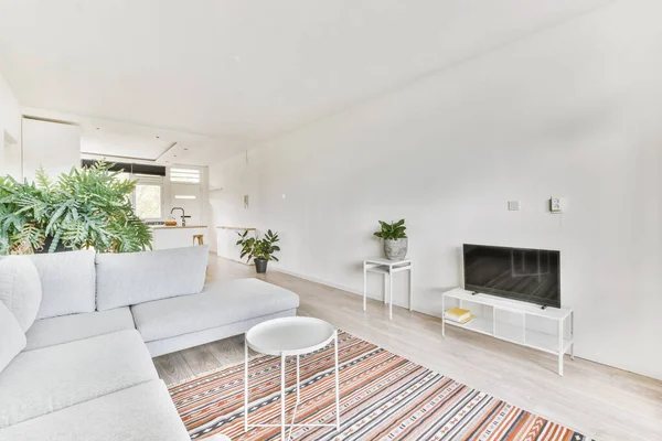 Bitkilerle dolu rahat bir oturma odası.