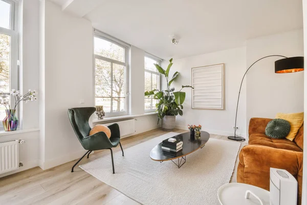 Mooie woonkamer met bruine fluwelen bank en lange lamp — Stockfoto