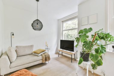 Küçük gri kanepeli muhteşem bir oturma odası.