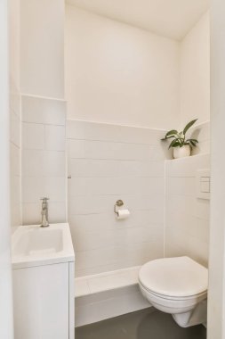 Modern, gösterişli tuvaleti olan enfes bir tuvalet.