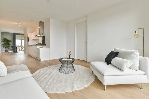 Stílusos nappali fehér kanapéval és szőnyeggel — Stock Fotó