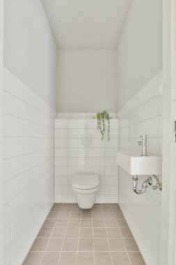 Rafı olan küçük bir tuvalet.