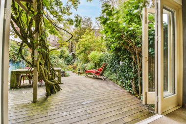 Yeşil ağaçlı bir evin rahat avlusu.