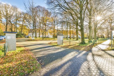 Bir sürü ağacı olan rahat bir park.