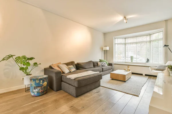 Stijlvolle woonkamer met zachte decoratieve grote bank — Stockfoto