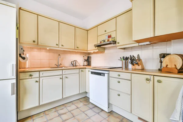Adorable kitchen with modern dishwasher — Stok fotoğraf