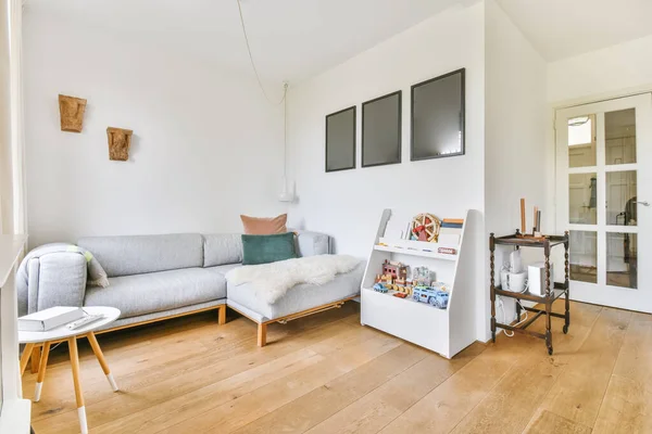 Amazing living room with soft gray sofa — Photo
