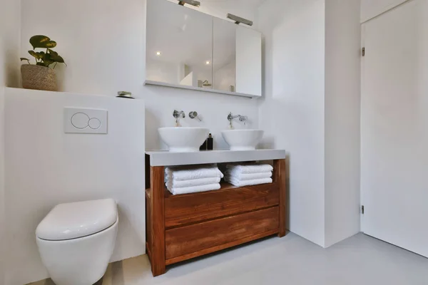 Luksusowa łazienka z dwoma owalnymi umywalkami — Zdjęcie stockowe