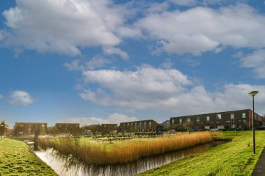 Yeşil çimenli bitkilerle kaplı küçük bir gölet