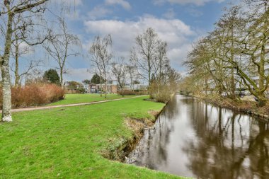 Ağaçlı küçük bir kanal görüntüsü