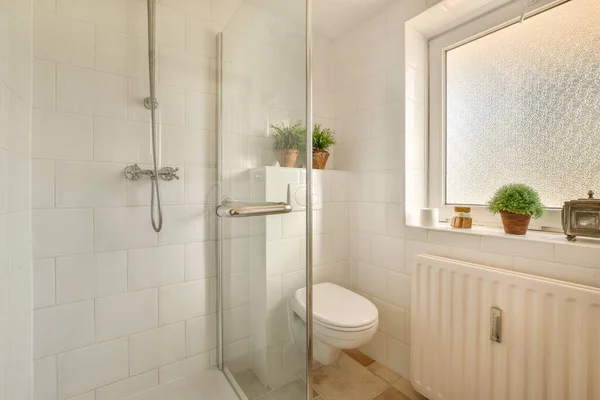 Интерьер ванной комнаты с комнатными растениями — стоковое фото