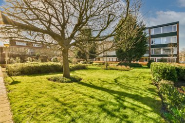 Yeşil çimenli geniş yeşil bir açıklık