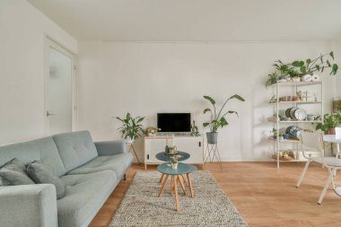 Geniş bir oturma odasının içi.