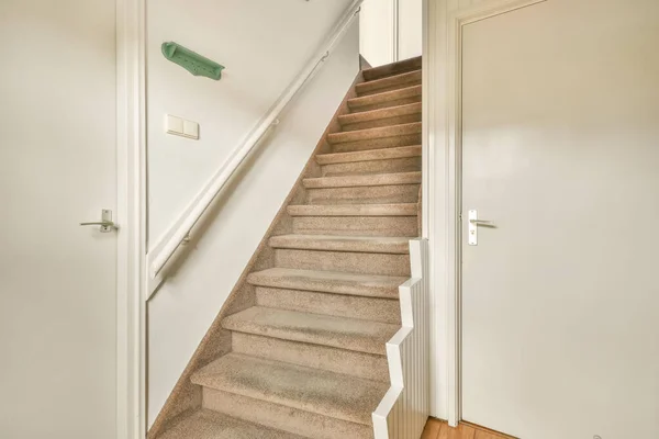 카펫 계단 이 있는 직선의 가벼운 계단 — 스톡 사진