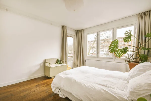 Small bedroom with plant and windows — ストック写真