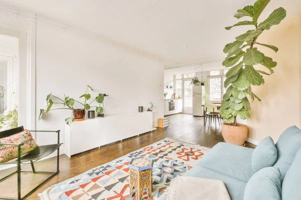 Light living room with windows and plants — Stock Photo, Image