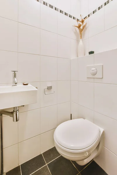 변기와 싱크대를 사용하는 변소 — 스톡 사진