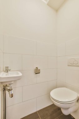 Küçük lavabolu basit tuvalet.