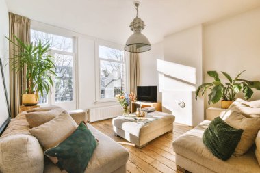 Comfortable sofas with soft cushions and table with vase near television in spacious light living room