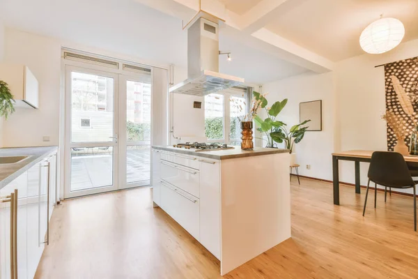 Büyük Yeşil Bitkileriyle Dekore Edilmiş Beyaz Modern Mutfak — Stok fotoğraf